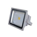 پرژکتور ۱۰ وات